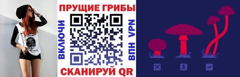 купить закладку Дрезна kraken ТОР Галлюциногенные грибы ЛСД